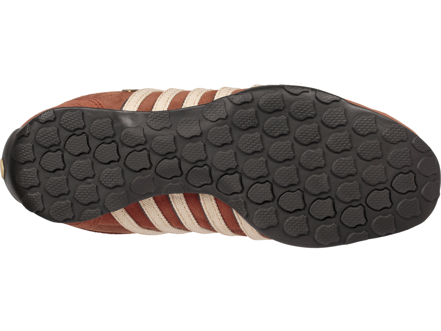 02453-294-M | ARVEE 1.5 | TORTOISE SHELL/KHAKI/BELUGA