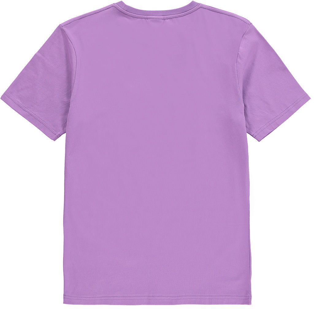 Tシャツ・カットソー SATUR Classic Logo Sweatshirt Purple SA251MTM05PP The Sims 25th Embroidered Crewneck – The Sims Shop